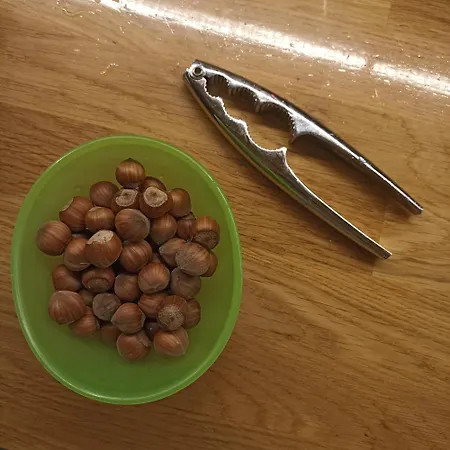 Ripe's Forest Garden