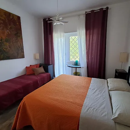 Ripe's Forest Garden ゲストハウス 4*