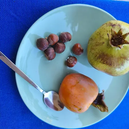 Ripe's Forest Garden 4* ローマ