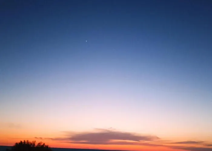 Ripe's Forest Garden 4* Roma