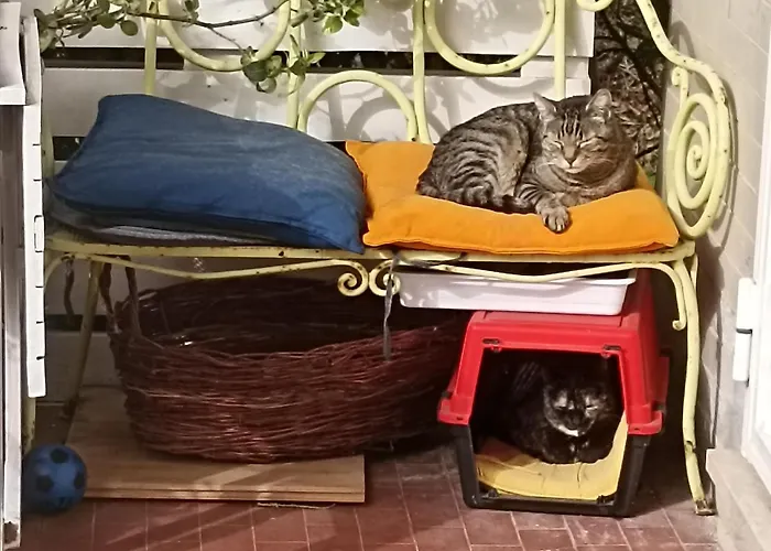 Ripe's Forest Garden 4*