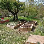 Ripe's Forest Garden Rome