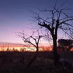 Ripe's Forest Garden Guest house