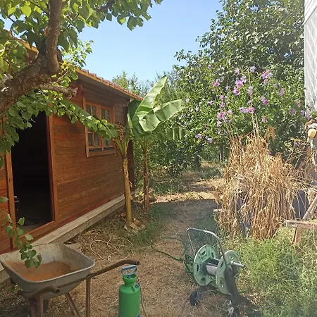 Ripe's Forest Garden Pensión