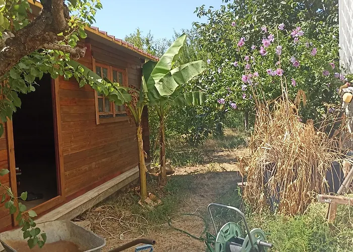 Ripe's Forest Garden Pensión